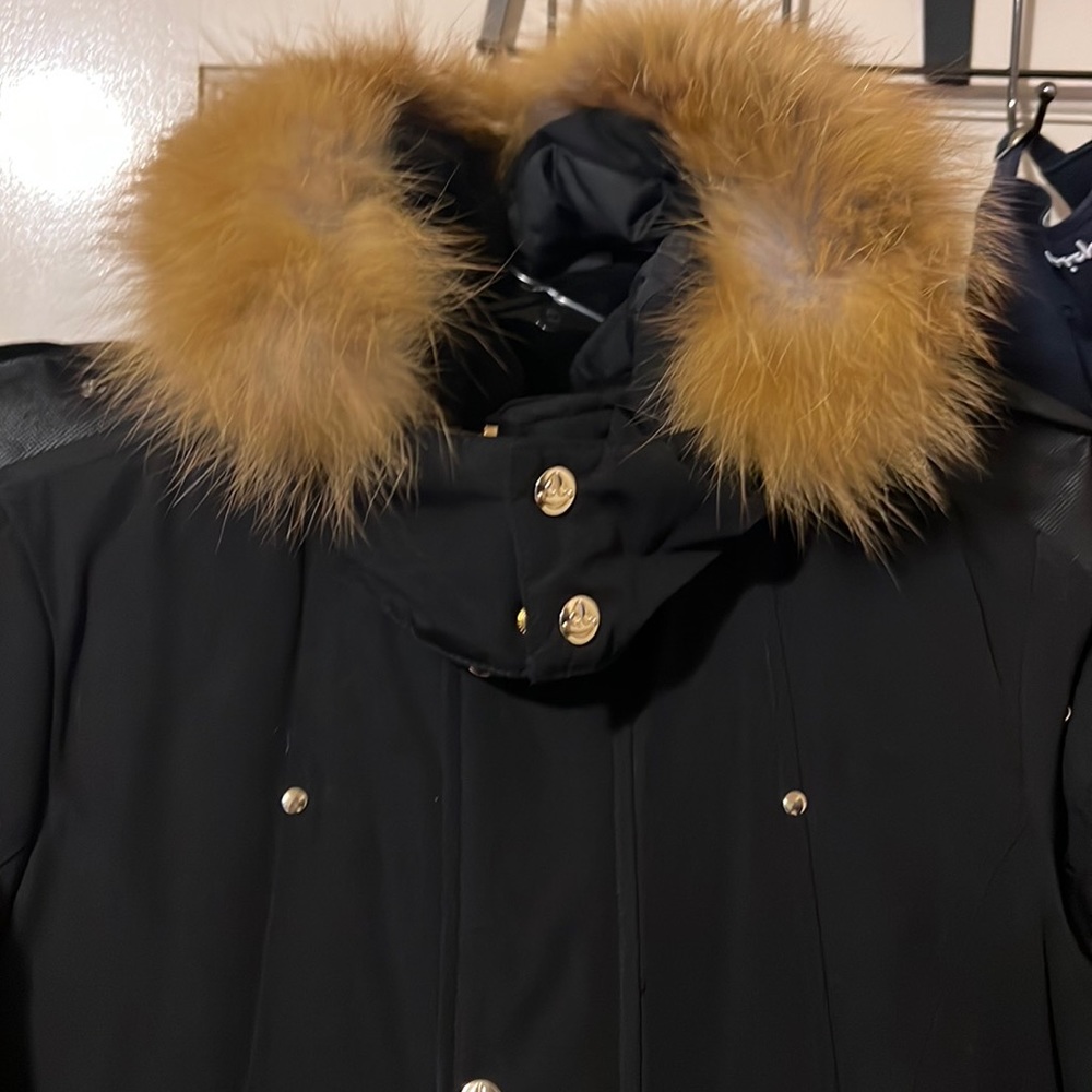 Moose knuckles kids jacket